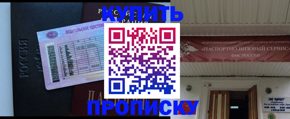 временная регистрация поиск в Курчалом